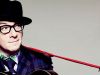 Accidents will happen, Elvis&nbsp;Costello