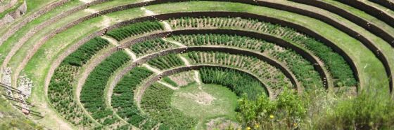 Cuento del libro Ficciones