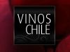 4 razones para tomar vino chileno por Hugo Andrés&nbsp;Casanova