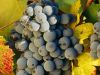 4 razones para tomar vinos de La Rioja&nbsp;española