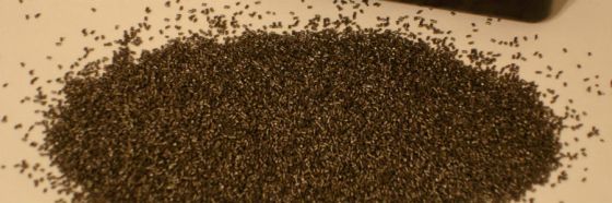 El que inventó la pólvora, Carlos Fuentes