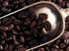 6 curiosidades del café&nbsp;orgánico