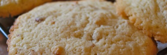 Galletas de queso parmesano