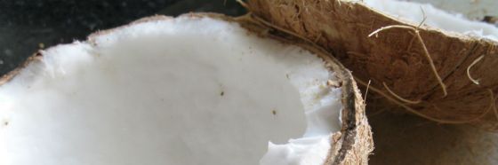 Leche de coco Leche de coco