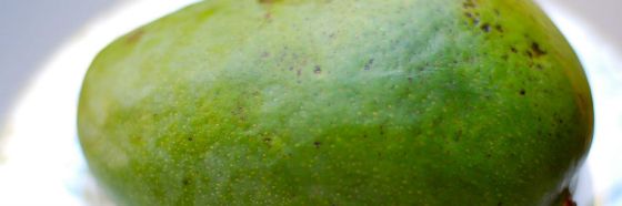 Descubre los Sabores de la provincia venezolana en taller teórico-práctico