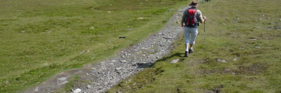 La renuncia, Andrés Eloy Blanco La renuncia, Andrés Eloy Blanco