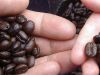 4 formas de tostar café en&nbsp;casa