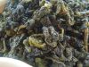 El secreto del té&nbsp;azul