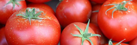 4 tips para disfrutar al máximo los tomates