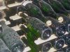 6 curiosidades sobre el&nbsp;cava