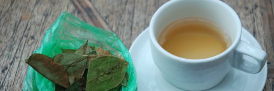 5 tips para conservar el té en estado óptimo 5 tips para conservar el té en estado óptimo