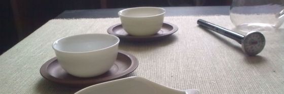 4 curiosidades sobre el té Gyokuru