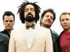 Mr. Jones, Counting&nbsp;crows