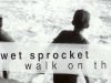 Walk on the ocean, Toad the wet&nbsp;sprocket