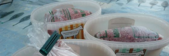 9 tips para congelar saludablemente tus alimentos