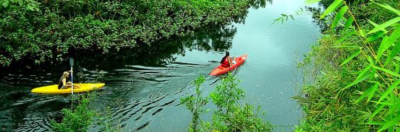 10 tips para tener unas vacaciones ecológicas