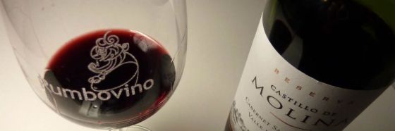 3 razones para probar Castillo de Molina Winemaker's blend