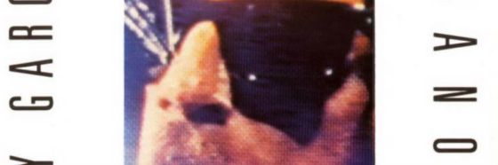 Promesas sobre el bidet, Charly García