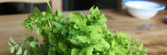 3 usos de la mejorana en la cocina