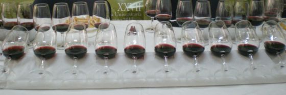 Esnobismo gourmet presenta degustación Vinos y más vinos en Son gourmet Esnobismo gourmet presenta degustación Vinos y más vinos en Son gourmet