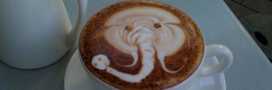 3 curiosidades sobre el café Marfil Negro