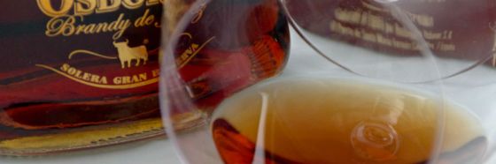 7 brandis inolvidables 7 brandis inolvidables brandy cognac