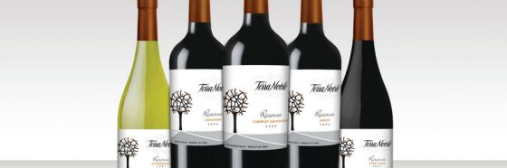 Automercados Plaza's y Alimentos Fusari presentan los vinos de Viña Terranoble en 2 catas
