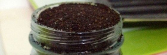 4 curiosidades del saní, la mostaza negra del Páramo