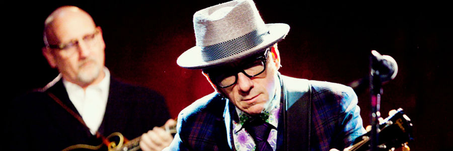 Hurry Down Doomsday (The Bugs Are Takin' Over), Elvis Costello
