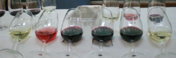 3 razones para probar los vinos de bodegas José L. Ferrer de Mallorca