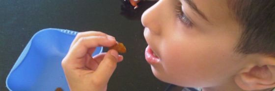 10 notas de buen comer para Manuel