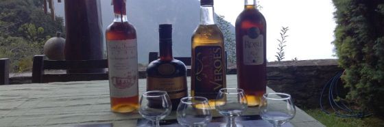 4 rones venezolanos de calidad según sus degustadores