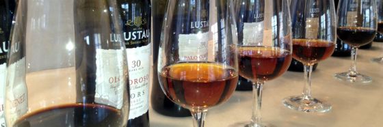 4 semejanzas entre jereces y champañas