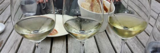 5 razones para probar los verdejos de Rueda