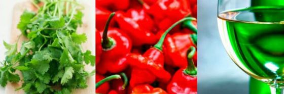 Cuatro sabores, cuatro vinos, armonías que seducen con la Academia de Sommelier de Venezuela