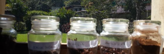 4 razones para conocer Cacao de Origen