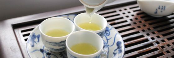 6 clases de TeaLovers