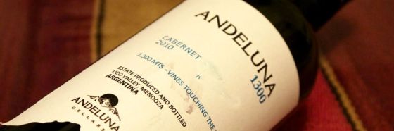 3 razones para descubrir el cabernet franc argentino