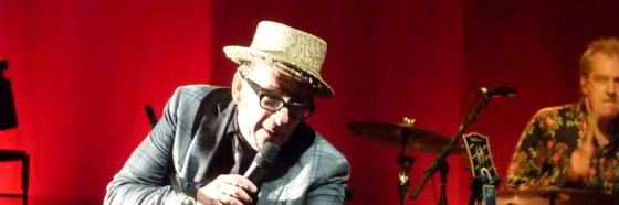 Upon a veil of midnight blue, Elvis Costello