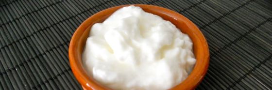 Lactonesa, mayonesa sin huevos