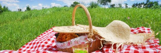 cesta picnic comida al aire libre