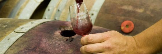 barrel sample wine