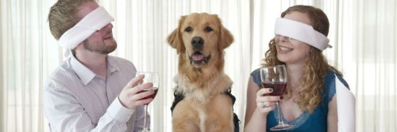 pareja y perro tomando vino couple and dog drinking wine