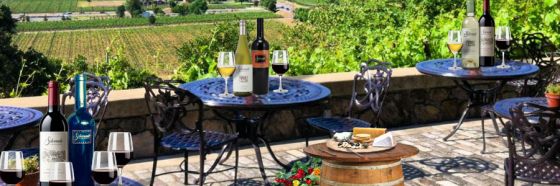 wine enthusiast top 100 2014