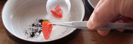 zen food george ohsawa macrobiotic salmon