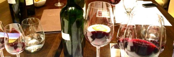 bonarda argentina wine glass