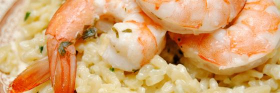 creamy shrimp rice