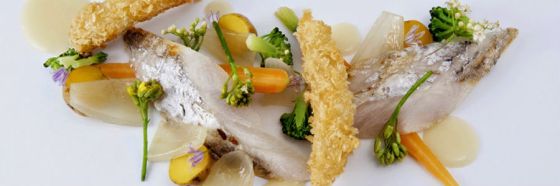 escabeche hector romero comedor ICC sumito estevez