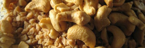 merey cashew guayana sabe bien 2015