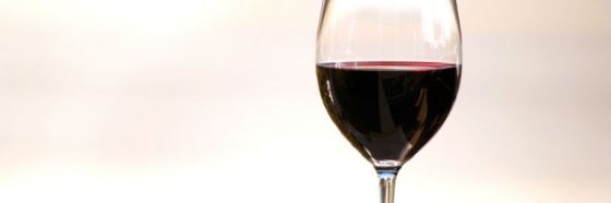 mencia bierzo alvaro palacios matheus venezuela